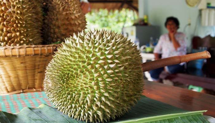 5 Fakta Durian Kanyao, Durian Paling Mahal di Dunia